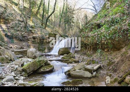 Le rapide sul fiume Kaverze nascosto dal sole e gola coperta di edera delle montagne del Caucaso. Russia, regione di Krasnodar Foto Stock