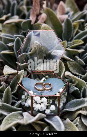 Due anelli di nozze per la sposa e lo sposo si trovano in una scatola di vetro Foto Stock