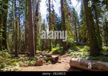 Yosemite autunno 2019 Foto Stock