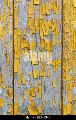 Dettaglio di antiche mura in legno con i resti dell'ocra di vernice senza foglie. La vernice che si stacca rivela la consistenza del legno. Sfondo verticale Foto Stock