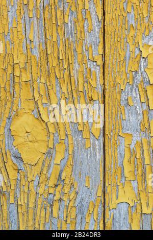 Dettaglio di antiche mura in legno con i resti della vernice color ocra giallo senza foglie. La vernice che si stacca rivela la consistenza del legno. Sfondo verticale Foto Stock