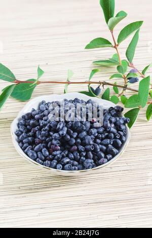Caprifoglio maturo blu (lat. Lonicera caerulea) in Coppa e il ramoscello sul tavolo. Vitamina cibo Foto Stock