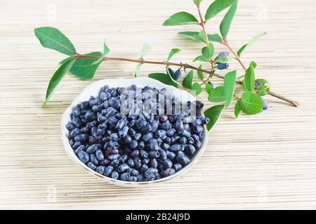 Una tazza di caprifoglio blu commestibile (lat. Lonicera caerulea) e il ramo dell'Estremo Oriente sul tavolo. Trattamento sano Foto Stock