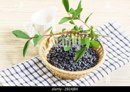 Cesto di vimini con bacche di caprifoglio (lat. Lonicera caerulea) Estremo Oriente, un ramoscello e una brocca di latte sul tavolo. Foto Stock