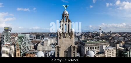 Un panorama multi-immagine di un uccello fegato sul Royal Liver Building di fronte alla città di Liverpool. Foto Stock