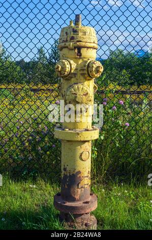 Un idrante arrugginito giallo da una recinzione Foto Stock