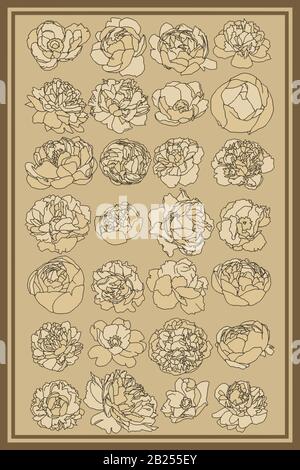 Antichi disegni botanici di fiori primaverili. Rose, peonie e tulipani, perfetti per poster e loghi. Illustrazione Vettoriale