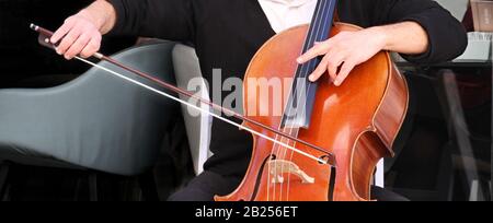 Un banner in formato computer mostra un primo piano delle mani di un uomo che gioca un violoncello in un ambiente esterno. Foto Stock