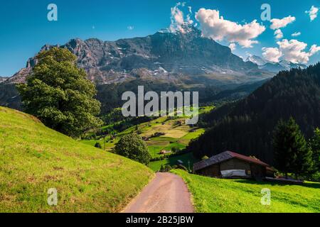 Splendida vista da Grindelwald con montagne innevate Eiger, Oberland Bernese, Svizzera, Europa Foto Stock