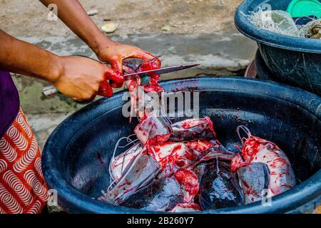 Un venditore di pesce ha tagliato il pesce gatto per la vendita in una strada a Lagos, Nigeria. Foto Stock