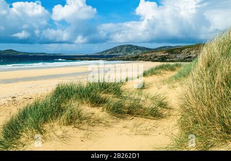 Duna erba, sabbia e mare, Horgabost spiaggia (Traigh IAR) sull'isola di Harris nelle Ebridi esterne, Scozia, Regno Unito Foto Stock