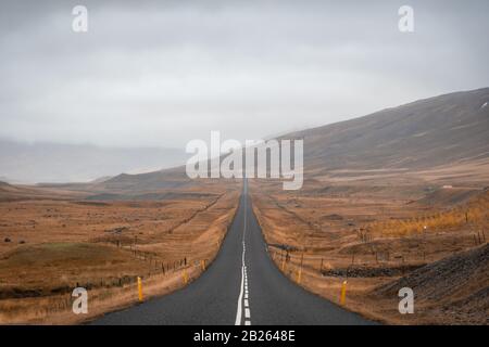 Lunga strada dritta in Islanda durante la grigia giornata autunnale vicino ai fiordi orientali Foto Stock