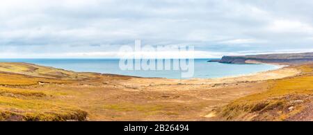 Latrabjarg in Islanda Breidlavik Beach colorato giallo da conchiglie luminose Foto Stock