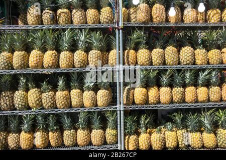 USA, Hawaii, Oahu, Honolulu, ananas in vendita Foto Stock