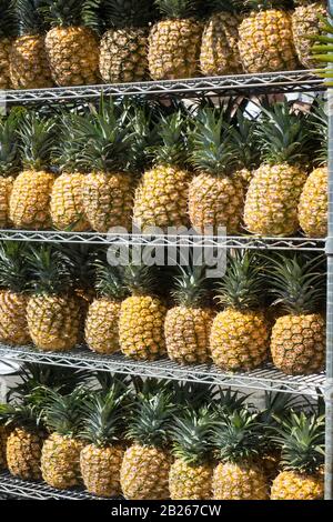 USA, Hawaii, Oahu, Honolulu, ananas in vendita Foto Stock