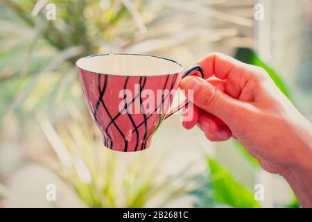 tee cup vintage su sfondo verde fiore, il sole splende attraverso la finestra, donna mano. Foto Stock