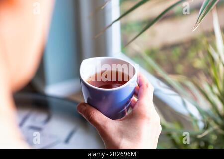tee cup blu vintage su sfondo verde fiore, il sole splende attraverso la finestra, donna mano. Foto Stock