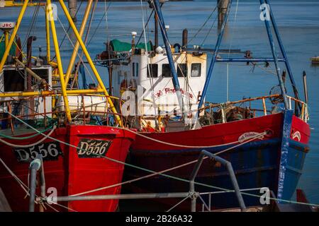 Barche Da Pesca Irlandesi, Portmagee Harbor, County Kerry, Irlanda Foto Stock
