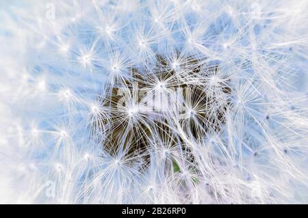 Texture leggera di paracadute da vicino. Foto Stock