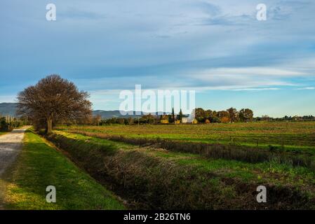 A classic view of hills, and farmland in Tuscany in winter Foto Stock