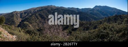Vista panoramica della Serrania de Ronda o della Sierra de las Nieves dalla zona di Benaojan nella provincia di Malaga, Andalusia, Spagna Foto Stock