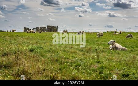 Pecore di fronte a Stonehenge in una luminosa giornata estiva Foto Stock