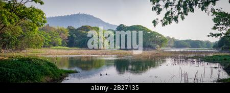 Santuario degli uccelli del lago Karanji, senza persone, preso alla fine del pomeriggio, Mysore, India Foto Stock