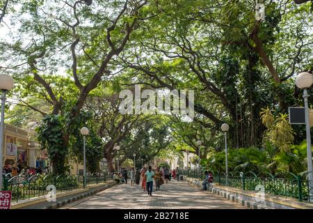 Mysore, India - 10 marzo 2018: Sentiero ombreggiato al di fuori del Palazzo Mysore con grandi alberi e alcuni visitatori Foto Stock