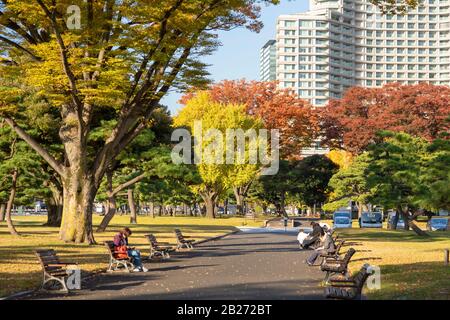 Alberi autunnali nel Hibiya Park, Tokyo, Giappone Foto Stock