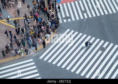 Shibuya Crossing, Shibuya, Tokyo, Giappone Foto Stock