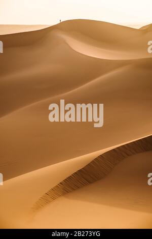 Vaste distese di deserto di sabbia e una piccola figura di un uomo in lontananza. Il rilievo delle dune di sabbia è chiaramente visibile. Foto Stock