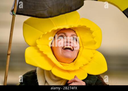 Una donna indossa un cappello daffodil e vola una bandiera durante la parata di San David a Cardiff, dove centinaia di persone attraversano la città per celebrare il santo patrono del Galles, Dewi Sant (San Davide in inglese), Che fu il vescovo gallese di Mynyw (ora St Davids) durante il 6th secolo. Foto Stock