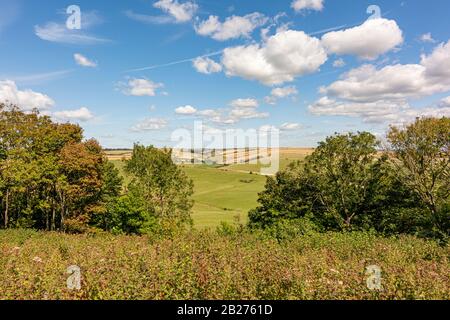Una vista attraverso gli alberi del downland rollong dalle pendici del Cissbury Ring nel South Downs National Park, West Sussex, Regno Unito. Foto Stock