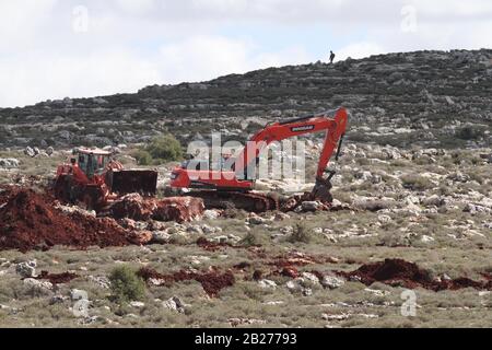 Nablus, Medio Oriente. 1st Mar, 2020. I bulldozer israeliani pala campi agricoli, presumibilmente per una nuova strada di insediamento, nel villaggio palestinese di Aqraba, vicino al Medio Oriente, 1 marzo 2020. Credito: Nidal Eshtayeh/Xinhua/Alamy Live News Foto Stock