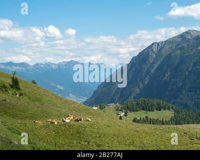 Vista Sulle Alpi Austriache Dalla Strada Alpina Grossglockner (Großglockner Hochalpenstraße) Foto Stock