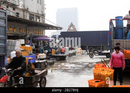 Guangzhou, CINA - CIRCA MARZO 2016: Mercato cinese tipico del pesce e degli animali viventi Foto Stock