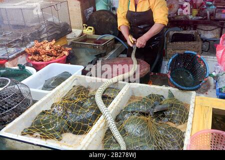 Guangzhou, CINA - CIRCA MARZO 2016: Mercato cinese di pesce e serpenti viventi e rettili Foto Stock