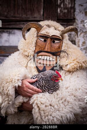 Ritratto di un uomo vestito con costume 'buso' che indossa una maschera cornuta che tiene un pollo durante le feste annuali di buso a Mohacs, Ungheria meridionale Foto Stock