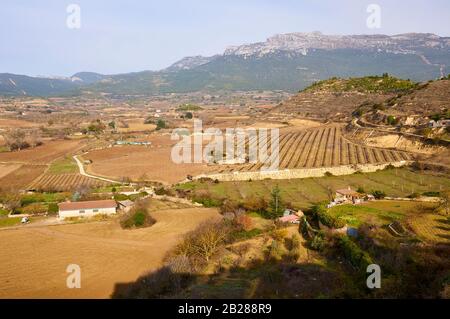 Paesaggio autunnale con vigneti e campi coltivati a Monte de Toloño sierra in fondo (Labastida, Rioja Alavesa, Álava, Paesi Baschi, Spagna) Foto Stock