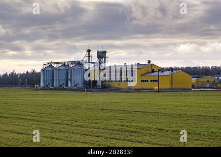 Granary ascensore. agro-Trasformazione e fabbricazione di impianti per la trasformazione e l'argento silos per la pulizia di essiccazione e stoccaggio di prodotti agricoli, fl Foto Stock