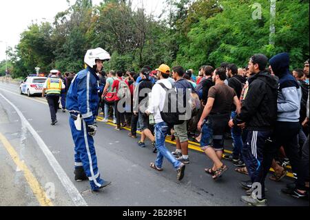 Budapest, Ungheria. Immagine di archivio dal 5th settembre 2015. I rifugiati sulla strada da Budapest al confine austriaco. Foto Stock