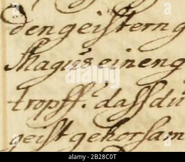 Collezione 'Manly Palmer Hall di manoscritti alchemici, 1500-1825' (1600) Foto Stock