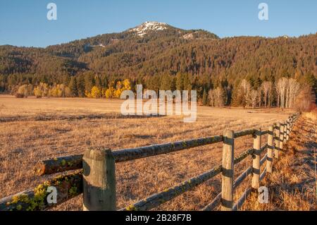 Lunga recinzione in legno di Mossy lungo il bordo di un campo autunnale marrone di fronte ad un albero coperto collina sormontata da neve Foto Stock