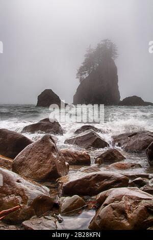 Nebbia che spinge dall'Oceano verso Gli Alberi che crescono da roccia che oscura gli alberi che crescono dalla faccia di uno scoglio roccioso con rocce colorate dentro Foto Stock