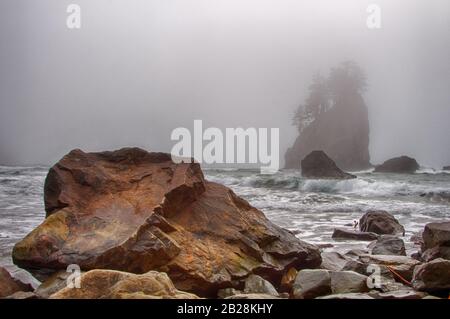 Nebbia che spinge dall'oceano che oscura gli alberi che crescono fuori dalla faccia di una roccia fuori sacchetto con rocce colorate in primo piano Foto Stock