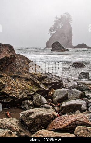 Nebbia che spinge dall'oceano che oscura gli alberi che crescono fuori dalla faccia di una roccia fuori sacchetto con rocce colorate in primo piano Foto Stock