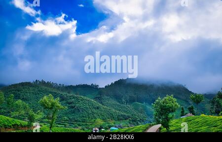 Bellissimo scenario di verde valle coperta di nebbia. Da Munnar, Kerala, India. Foto Stock