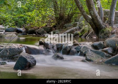 Dolce ruscello che scorre attraverso un verde fogliame ricco foresta e su un bordo roccioso sulle acque inferiori con il movimento delle acque scorrevoli immaginato Foto Stock