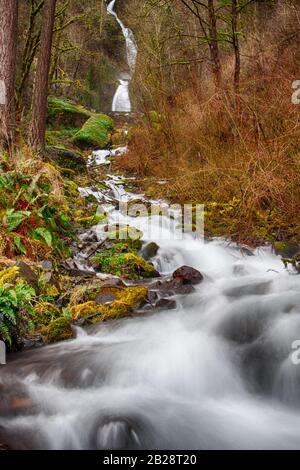 Bridal Veil Falls vicino alle Multnomah Falls all'esterno di Portland Oregon, nella Columbia River Gorge, con rocce bagnate e fossette circostanti e albero radici givi Foto Stock