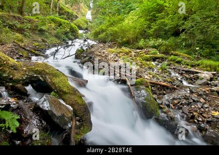 Bridal Veil Falls vicino alle Multnomah Falls all'esterno di Portland Oregon, nella Columbia River Gorge, con rocce bagnate e fossette circostanti e albero radici givi Foto Stock